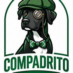 Imagen del canal