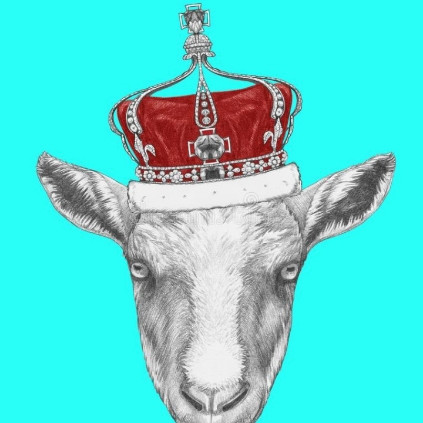 Avatar de tipster
