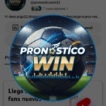 Avatar de tipster